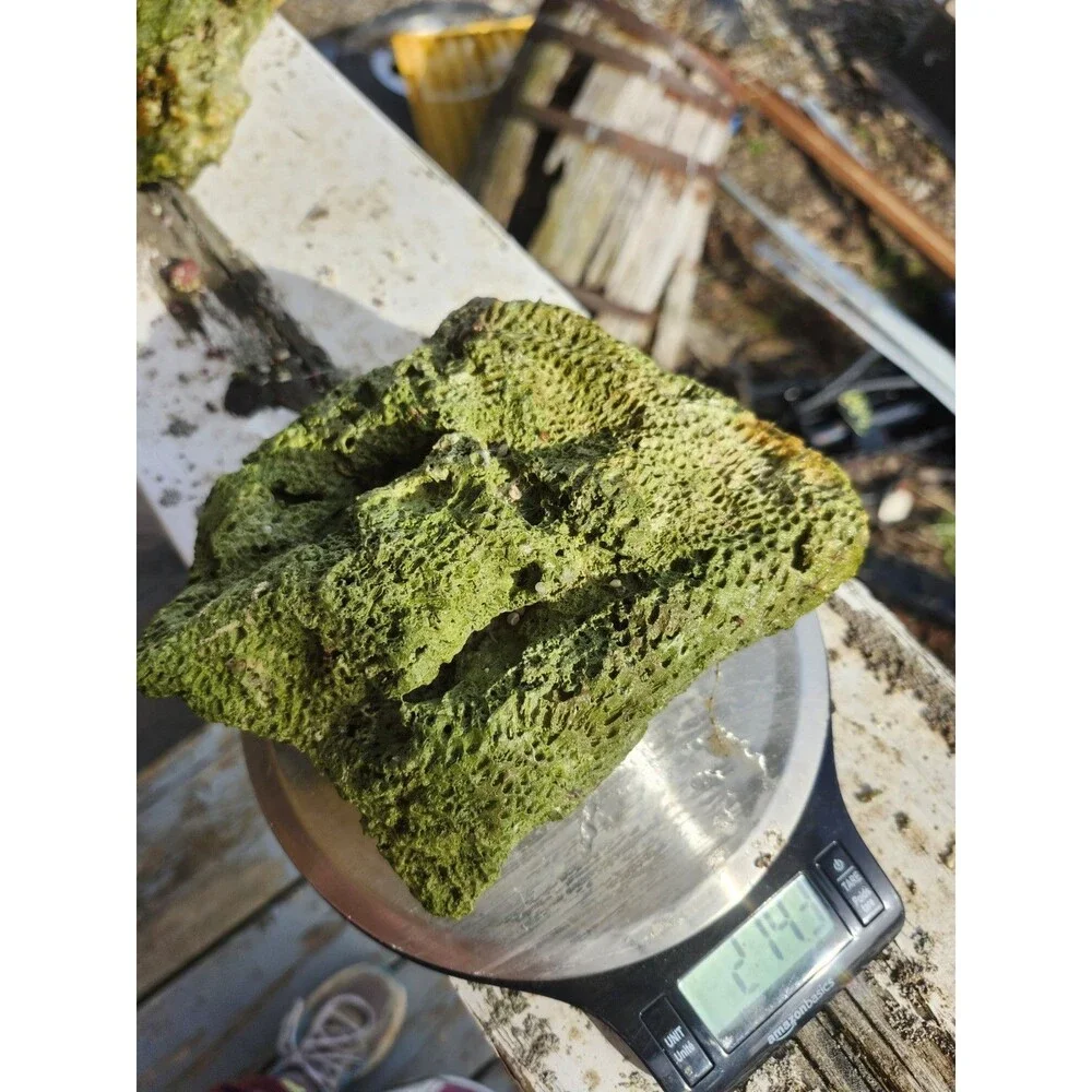 Fiji Dry Base Rock for Saltwater Aquarium Setup Natural Reef Rock Aquascaping